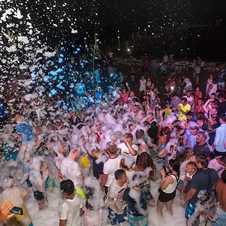 Long Harmony Avsallar