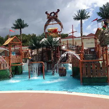 Long Harmony Avsallar